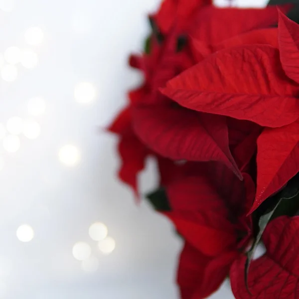 足球下注棋牌游戏